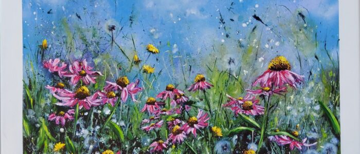 Echinacea meadow enhanced canvas print