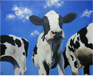 Curious Cows by Fiona Roche