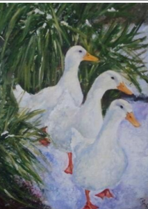 Three white ducks by Fiona Roche