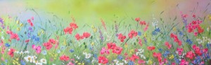The poppies have arrived! by Fiona Roche