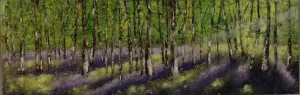 Bluebell wood by Fiona Roche