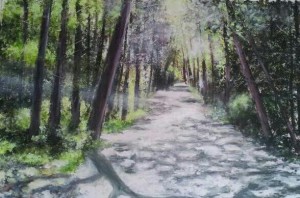 Sunlit Pathway by Fiona Roche