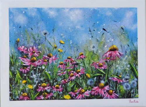 Echinacea meadow by Fiona Roche