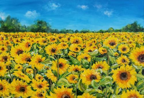 Sunflowers Summer! by Fiona Roche