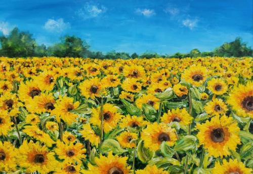 Sunflowers galore! by Fiona Roche