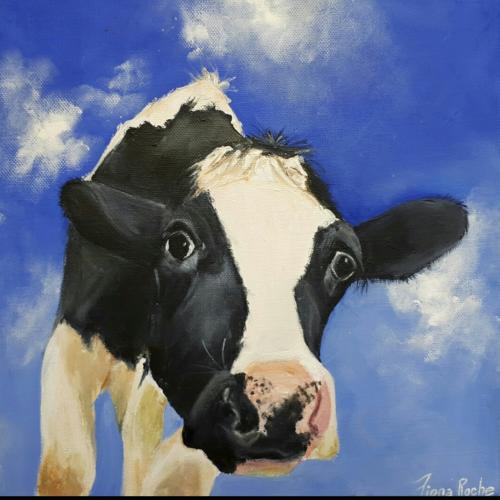 Inquisitive cow by Fiona Roche