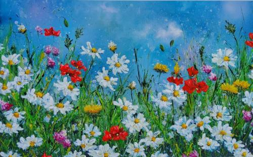 Daisies and poppy time by Fiona Roche