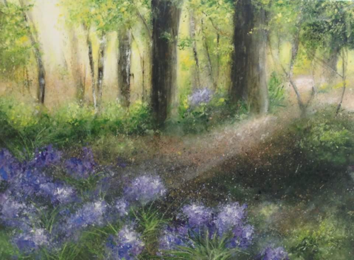 Sunny bluebells! by Fiona Roche