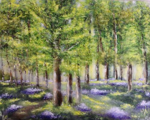 Bluebell sunshine by Fiona Roche