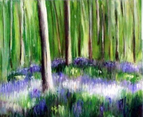 Dreamy bluebells by Fiona Roche