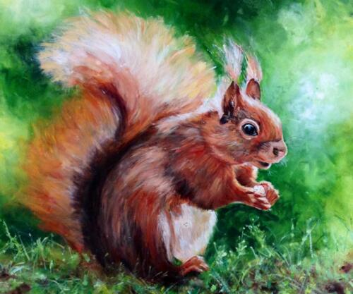 Red Squirrel by Fiona Roche